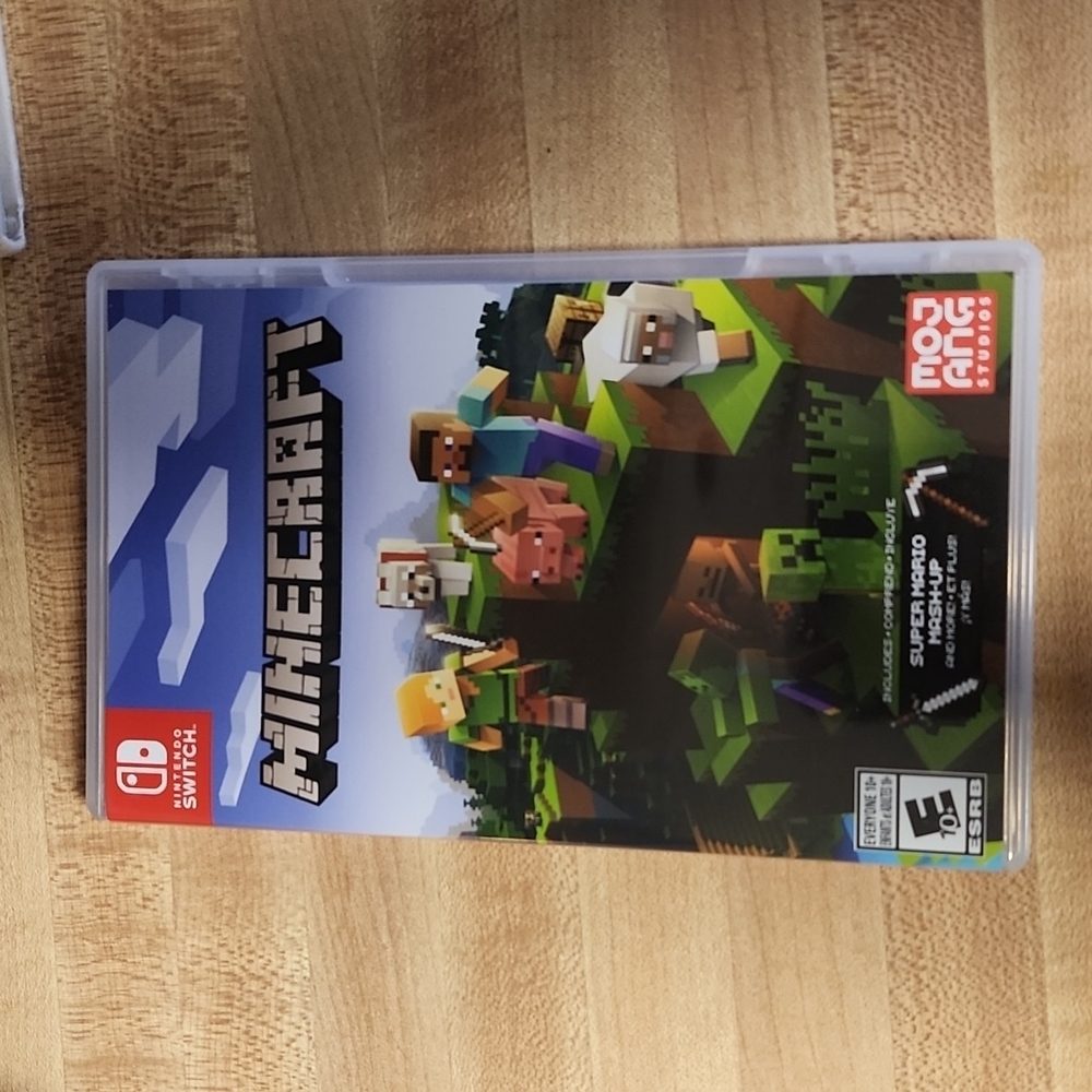 Minecraft Nintendo Switch